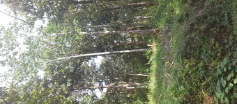 The home stay in nature's castle