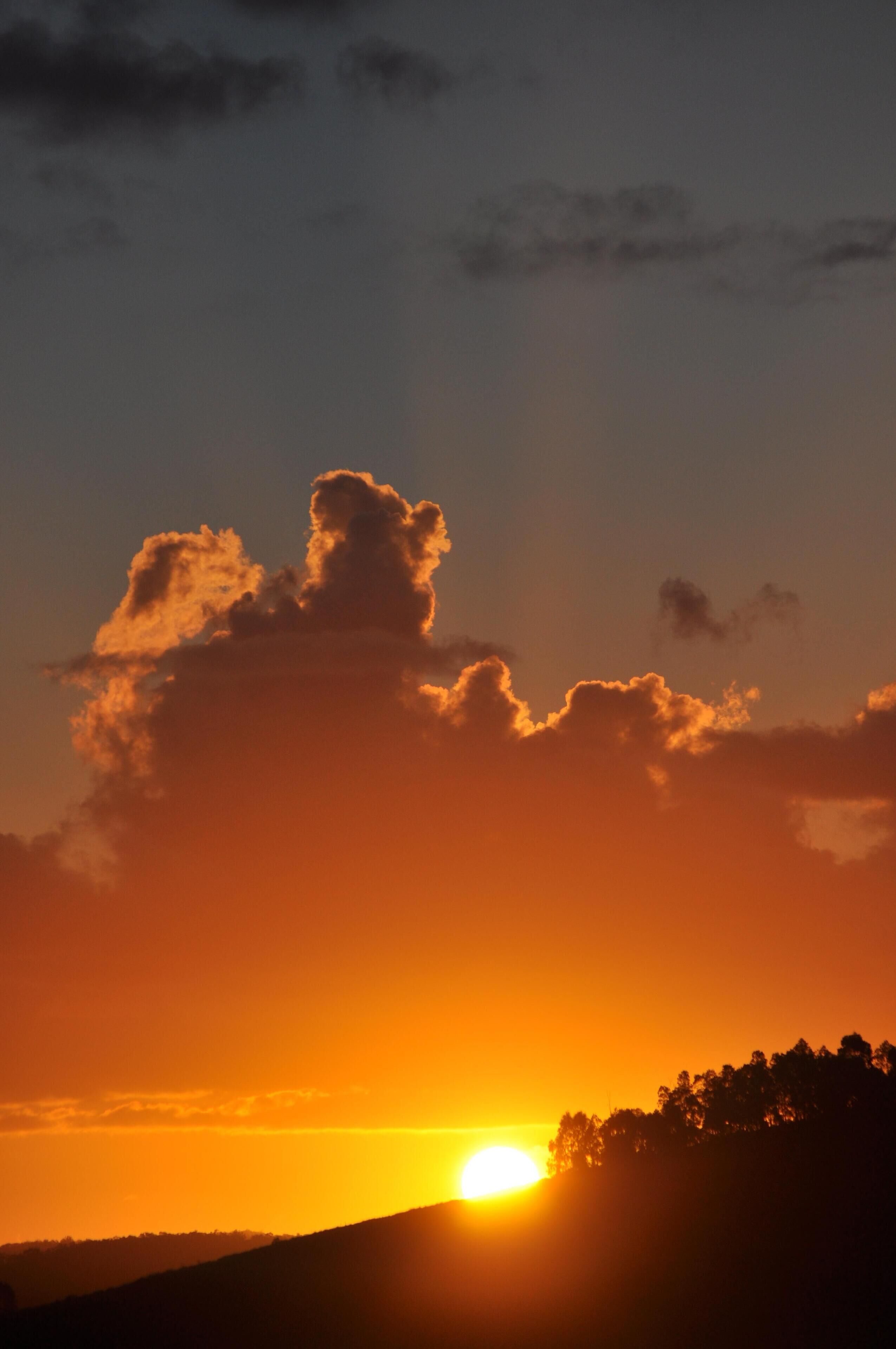 Dairy Farm Cottage.. — image 20