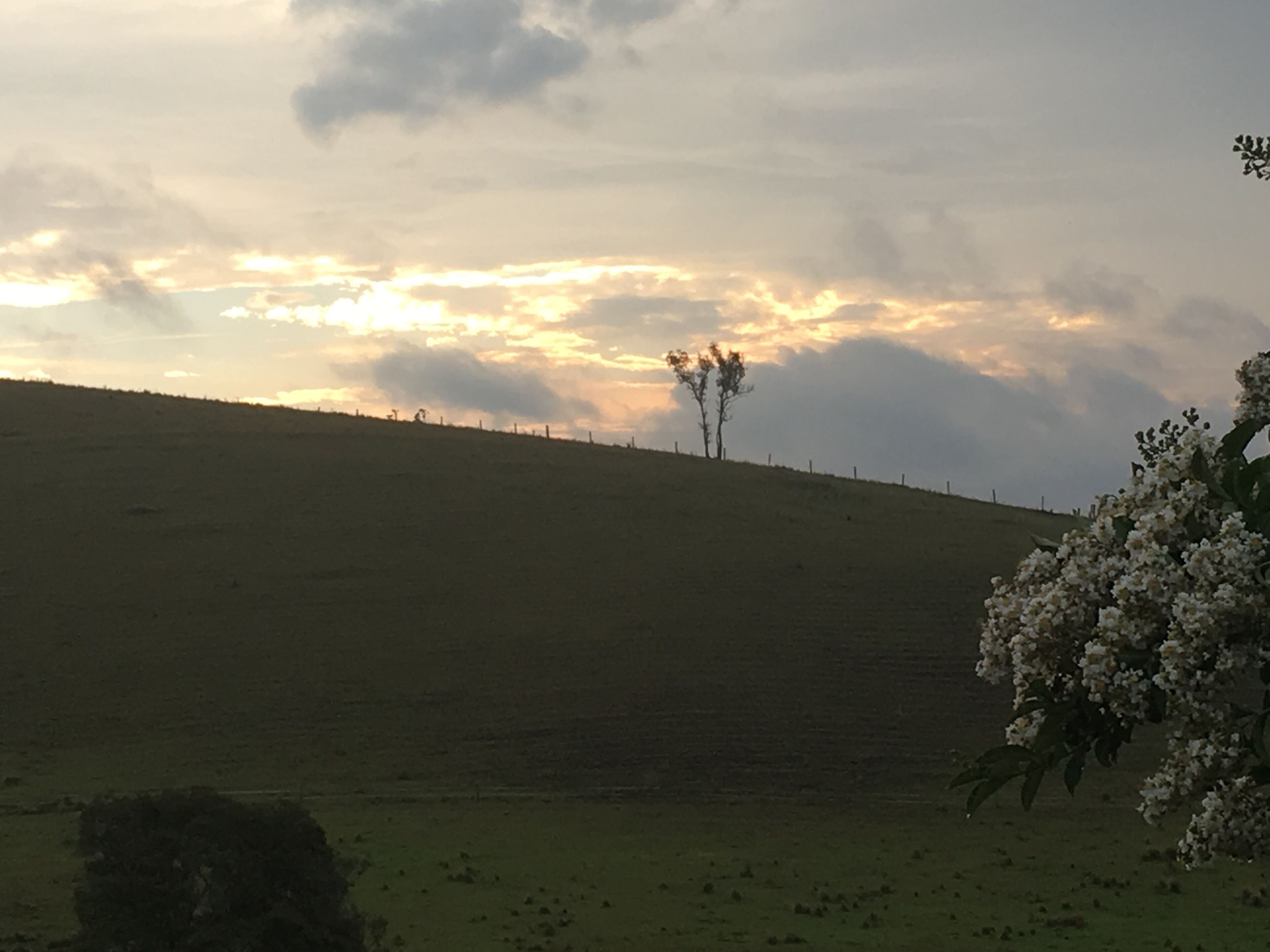 Dairy Farm Cottage.. — image 24