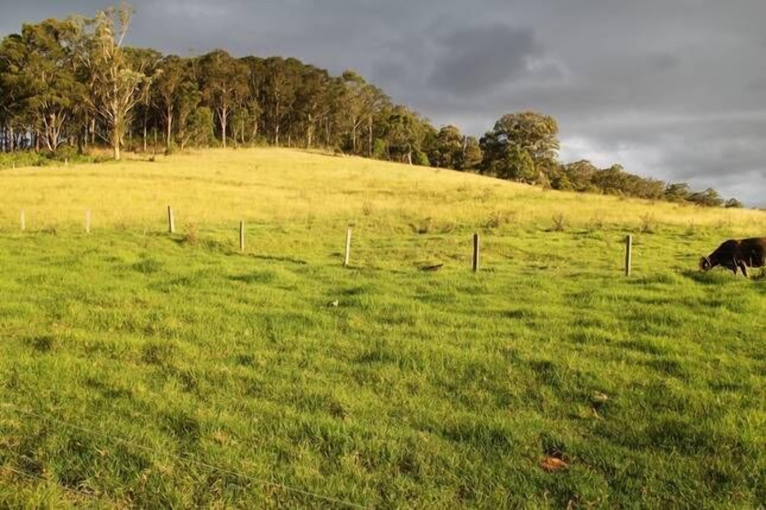 Dairy Farm Cottage.. — image 22