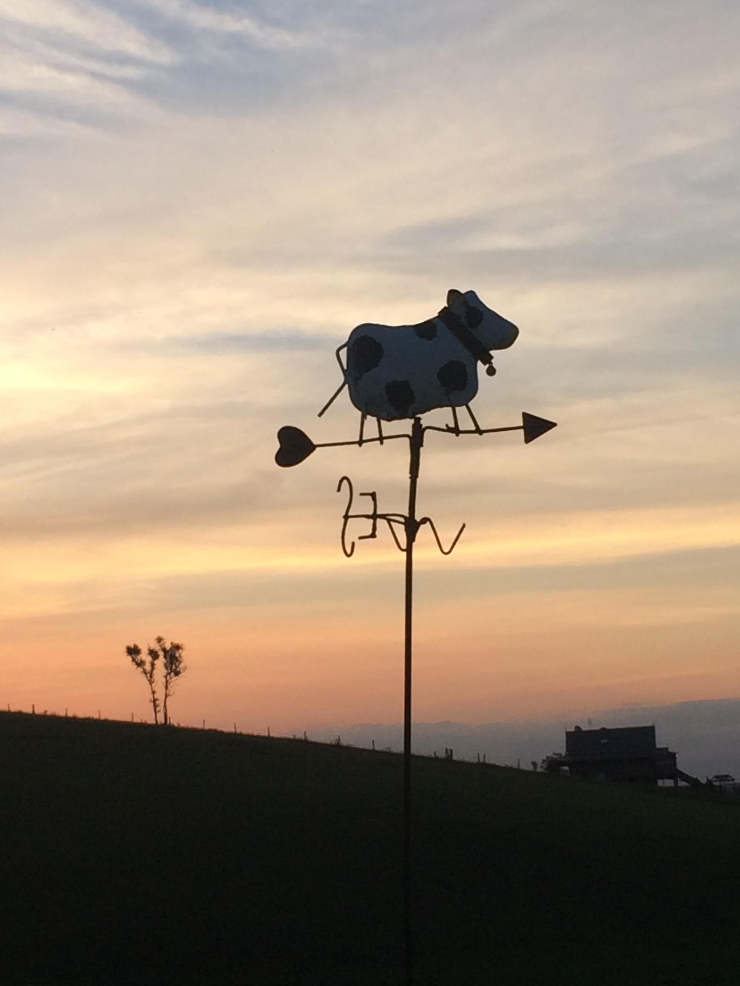 Dairy Farm Cottage.. — image 4