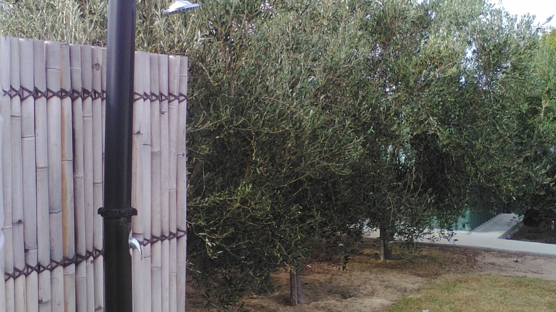 All Decked Out!!!!!! — image 19