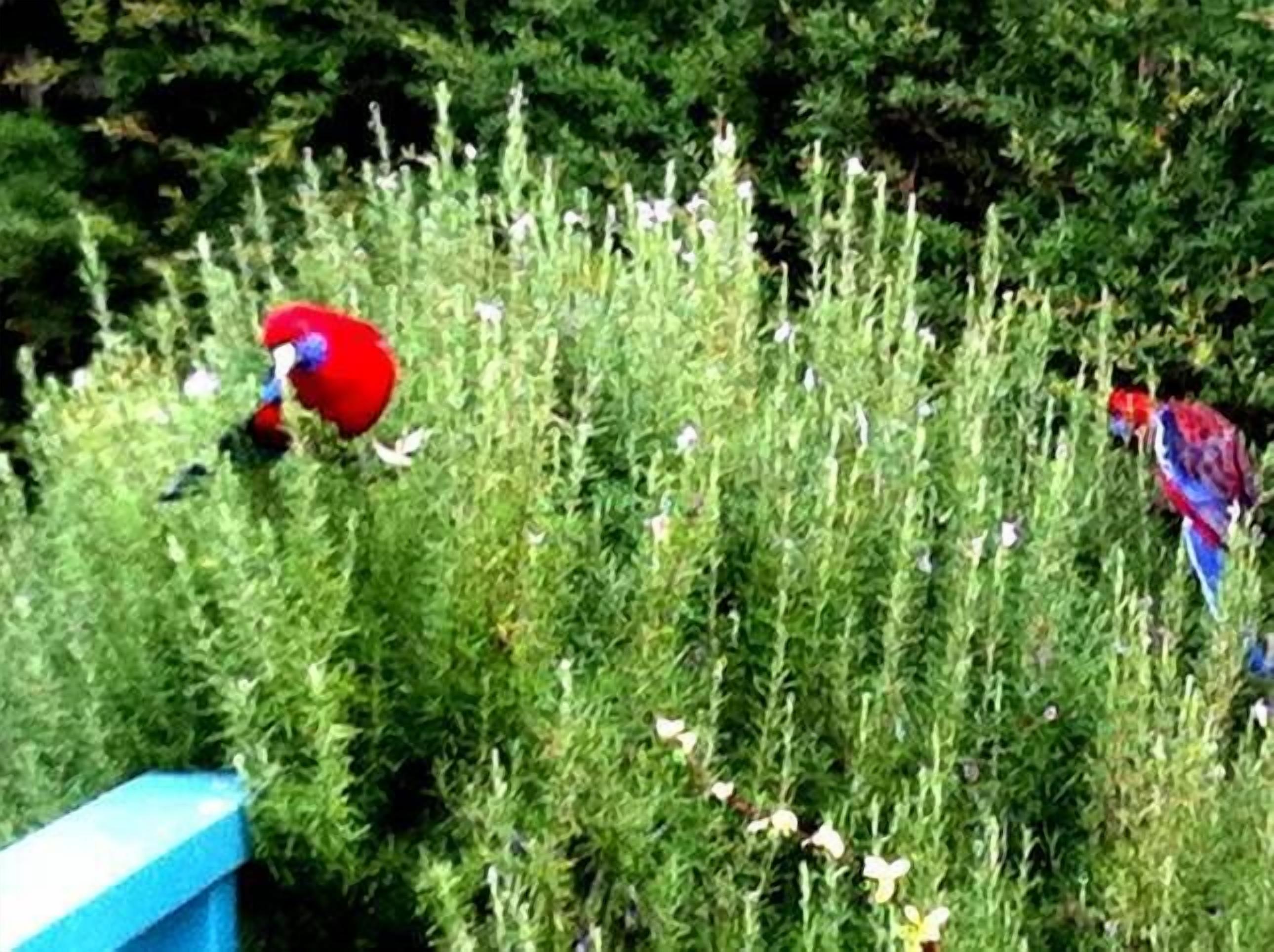 NATURESCAPE HOLIDAY ACCOMMODATION — image 22