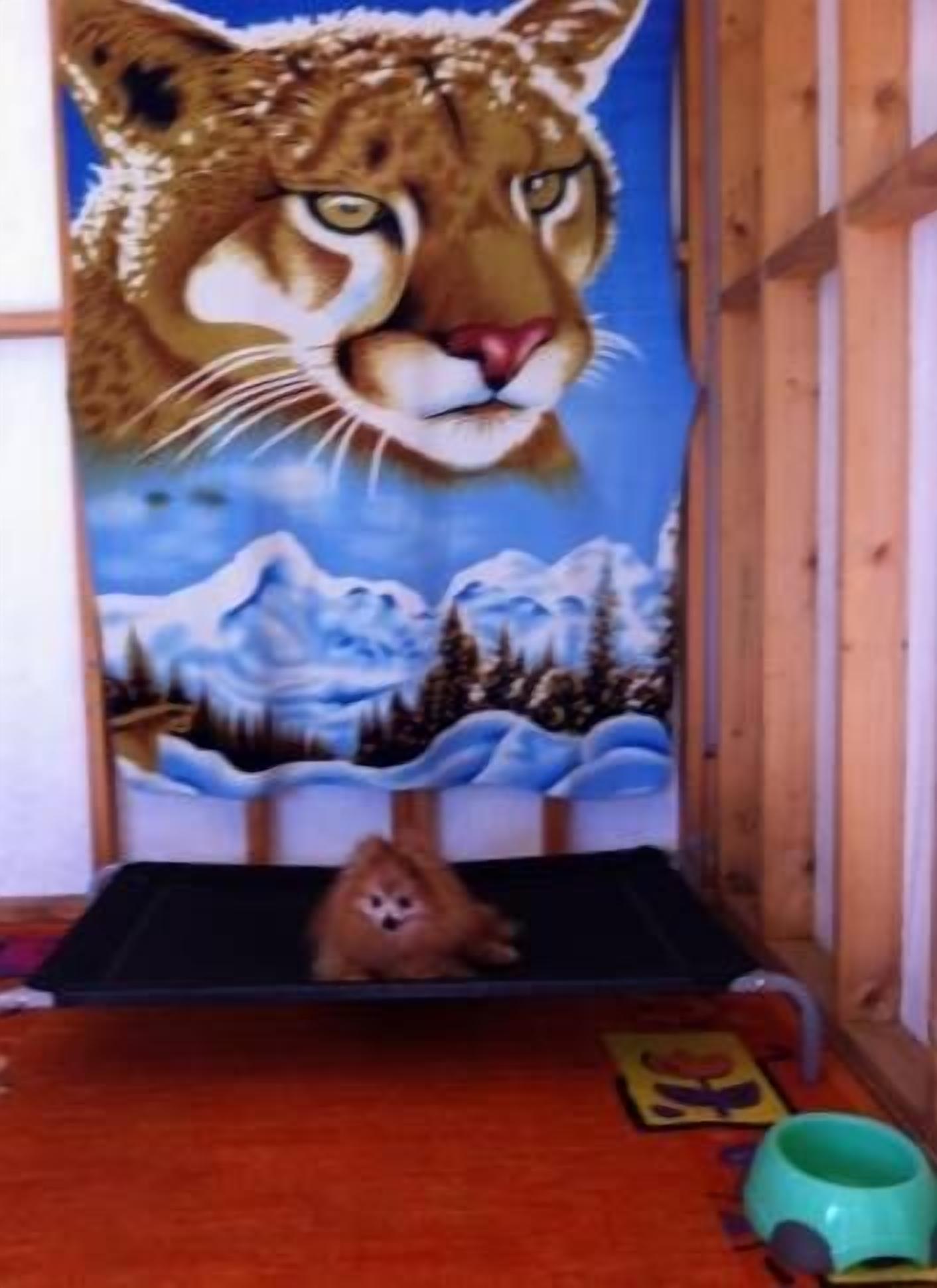 NATURESCAPE HOLIDAY ACCOMMODATION — image 23