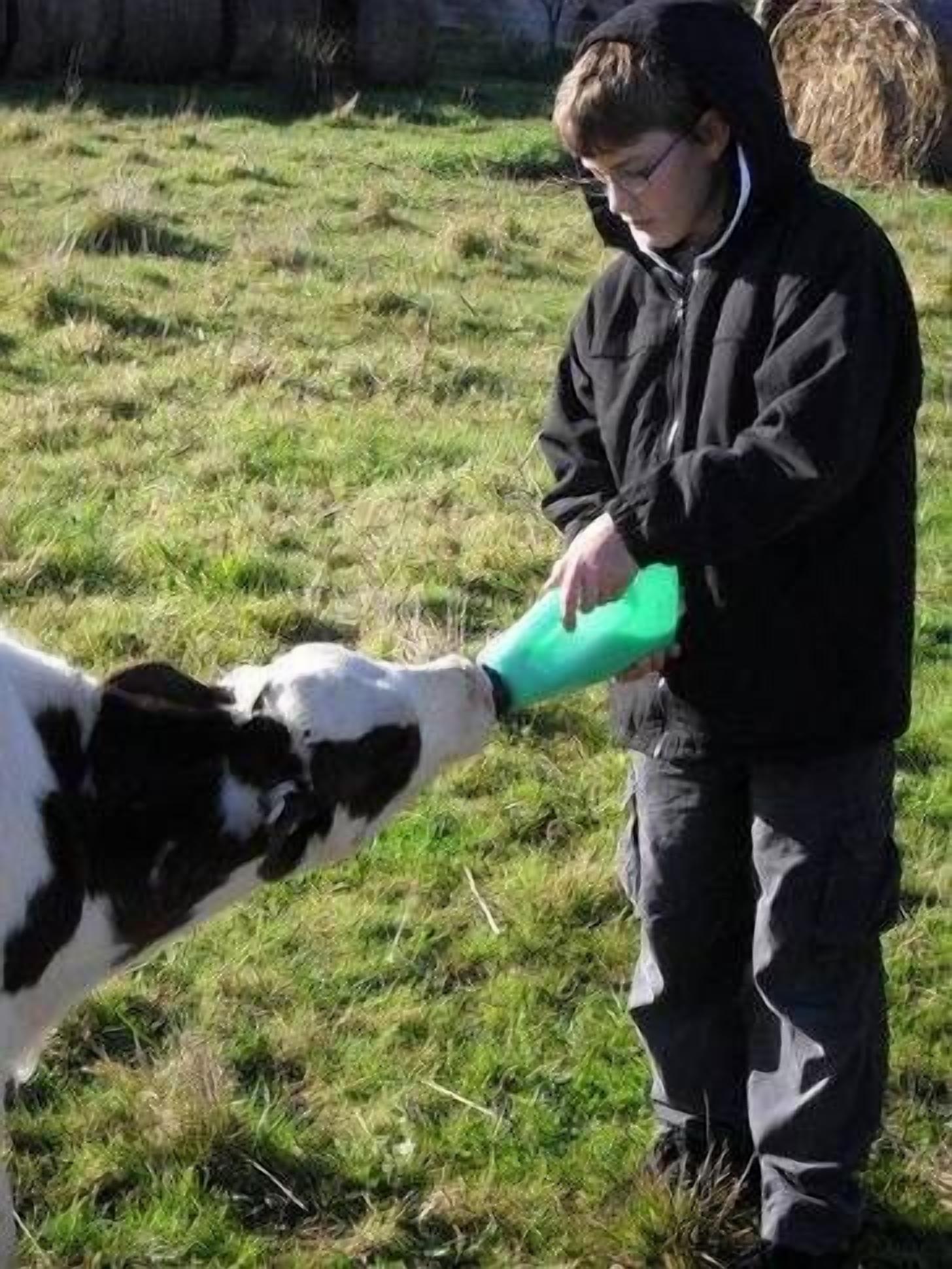 Breakaway Farmstay Victor Harbor