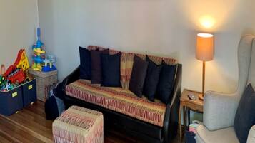 Smart TV, fireplace, DVD player, books