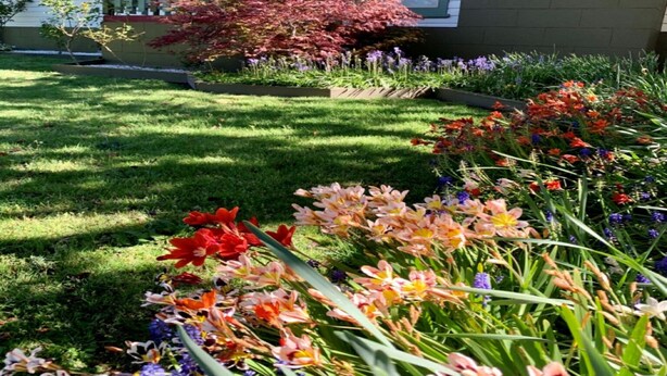 Una casa residencial con un césped cuidado y una variedad de flores coloridas en el jardín delantero.