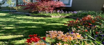 Black Pine Cottage Katoomba