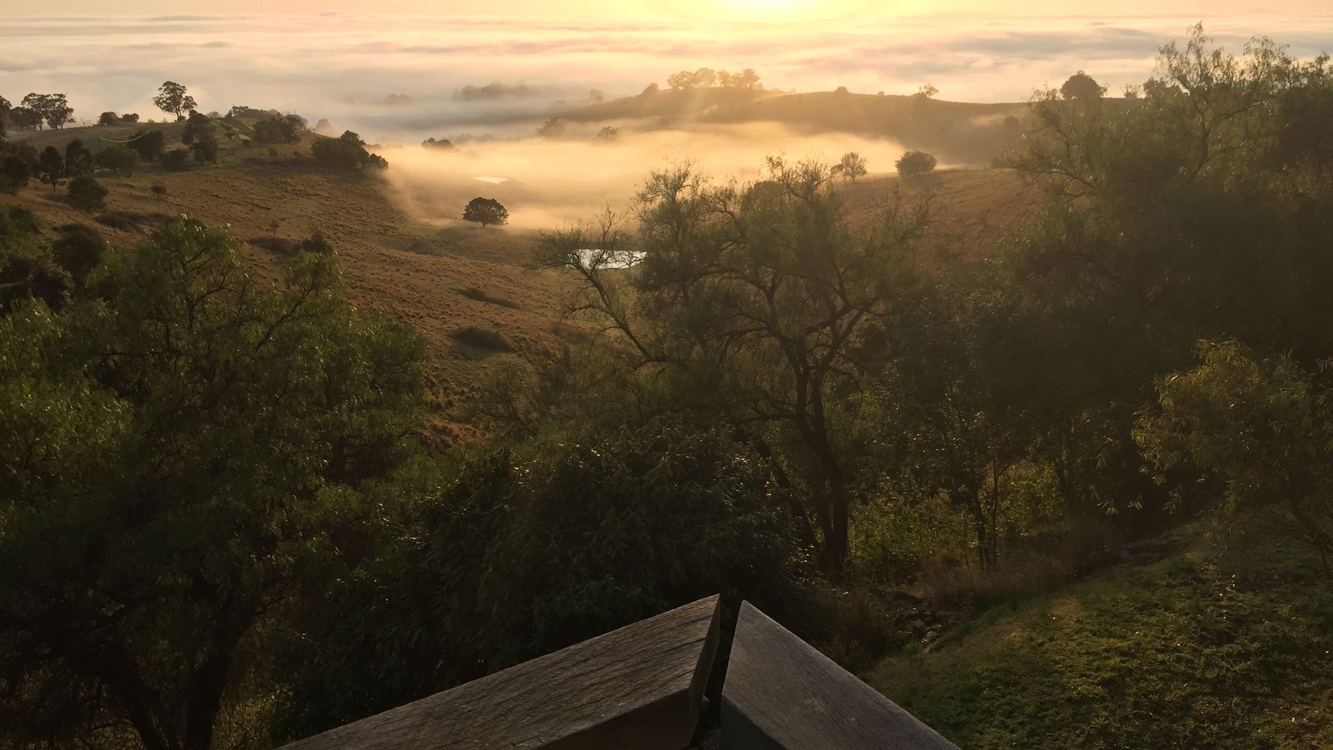 Mount View Lodges - Hunter Valley - 1 Bed — image 3