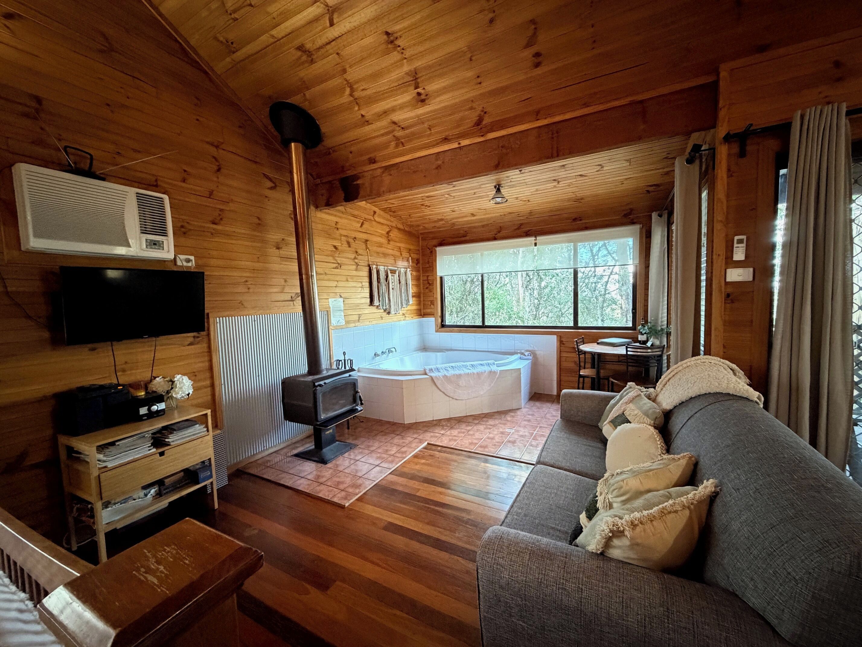 Smart TV, fireplace, DVD player, books