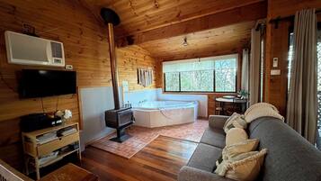 Smart TV, fireplace, DVD player, books