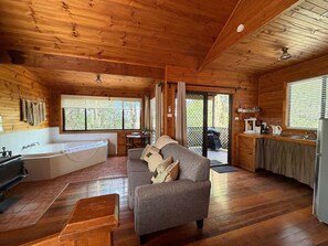 Smart TV, fireplace, DVD player, books