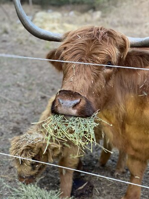 المنطقة المحيطة بالمنشأة