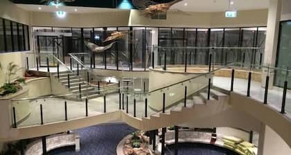 Nomiki über die Avenue