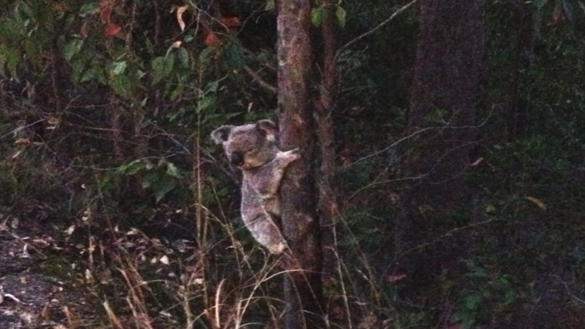 The Panorama Retreat Sleeps 23 14 Beds — image 27