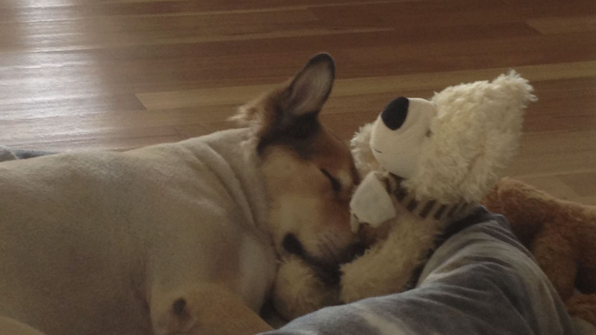 The Panorama Retreat Sleeps 23 14 Beds — image 6