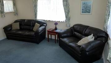 Smart TV, fireplace, DVD player, video library