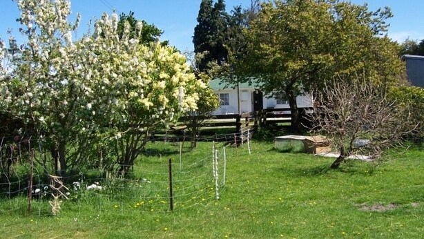 Un jardin clos, agrémenté d’arbres, avec un bâtiment visible au fond.