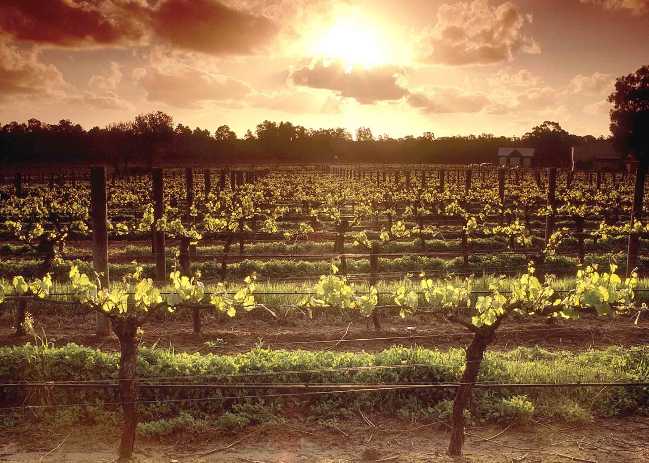 Upper Reach Spa Cottage with FREE Wi-Fi — image 14