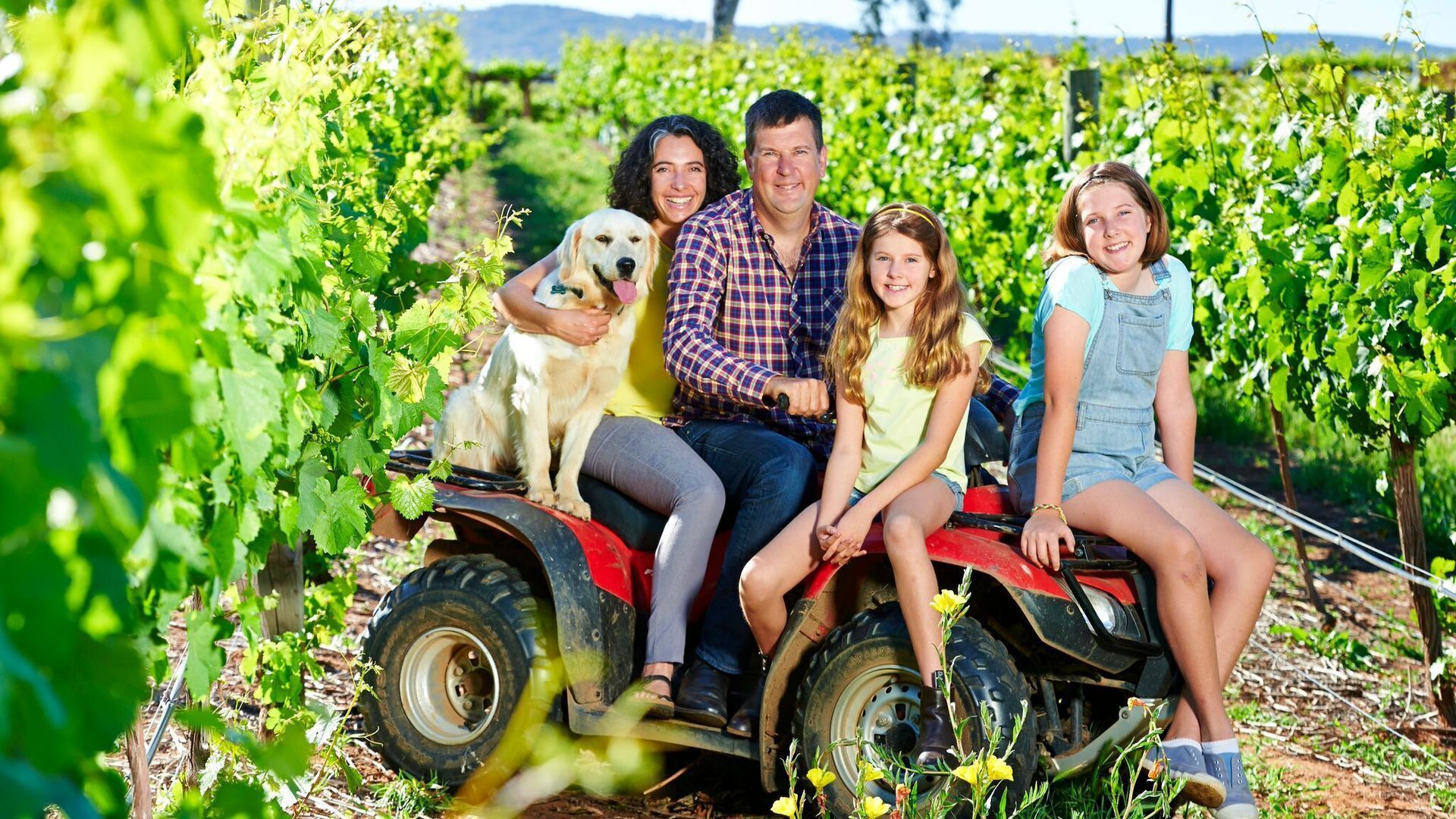 Upper Reach Spa Cottage with FREE Wi-Fi — image 4