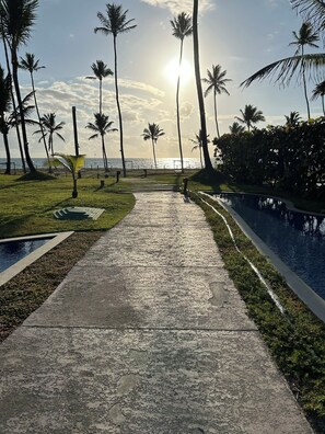 A pathway leading to a pool with palm trees on either side, a clear sky, and the sun setting in the background.