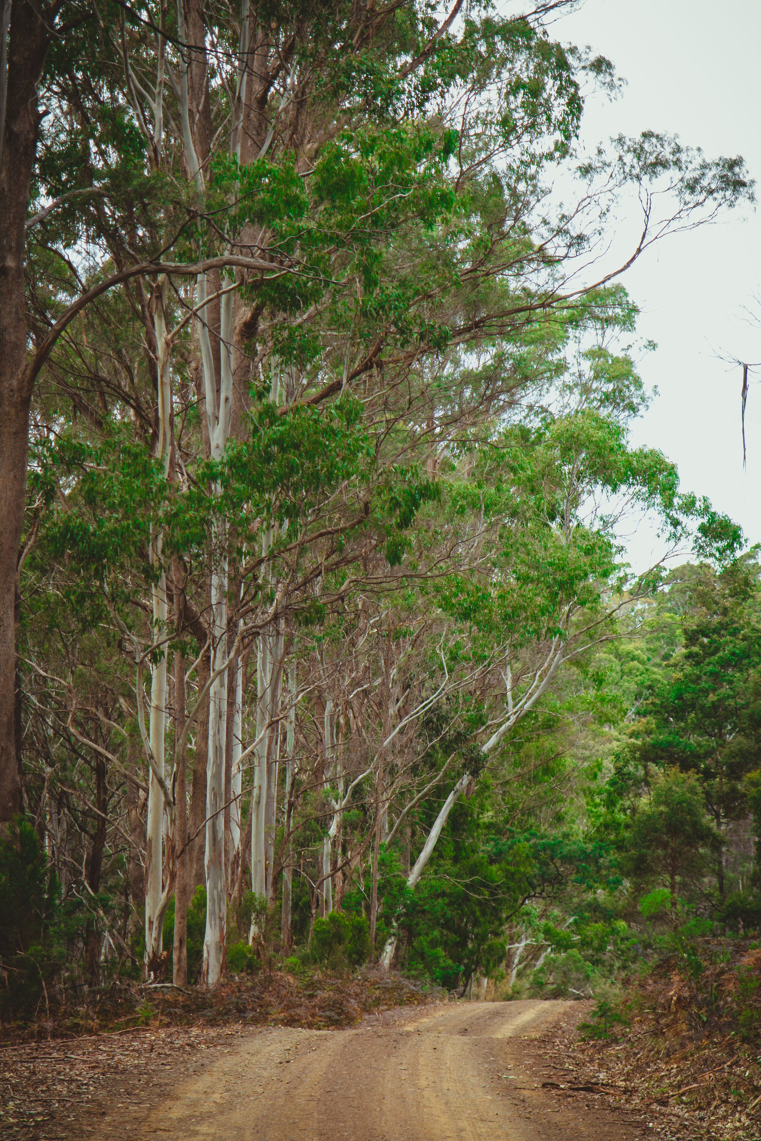 Naivasha Cottage with antique outdoor bath — image 25