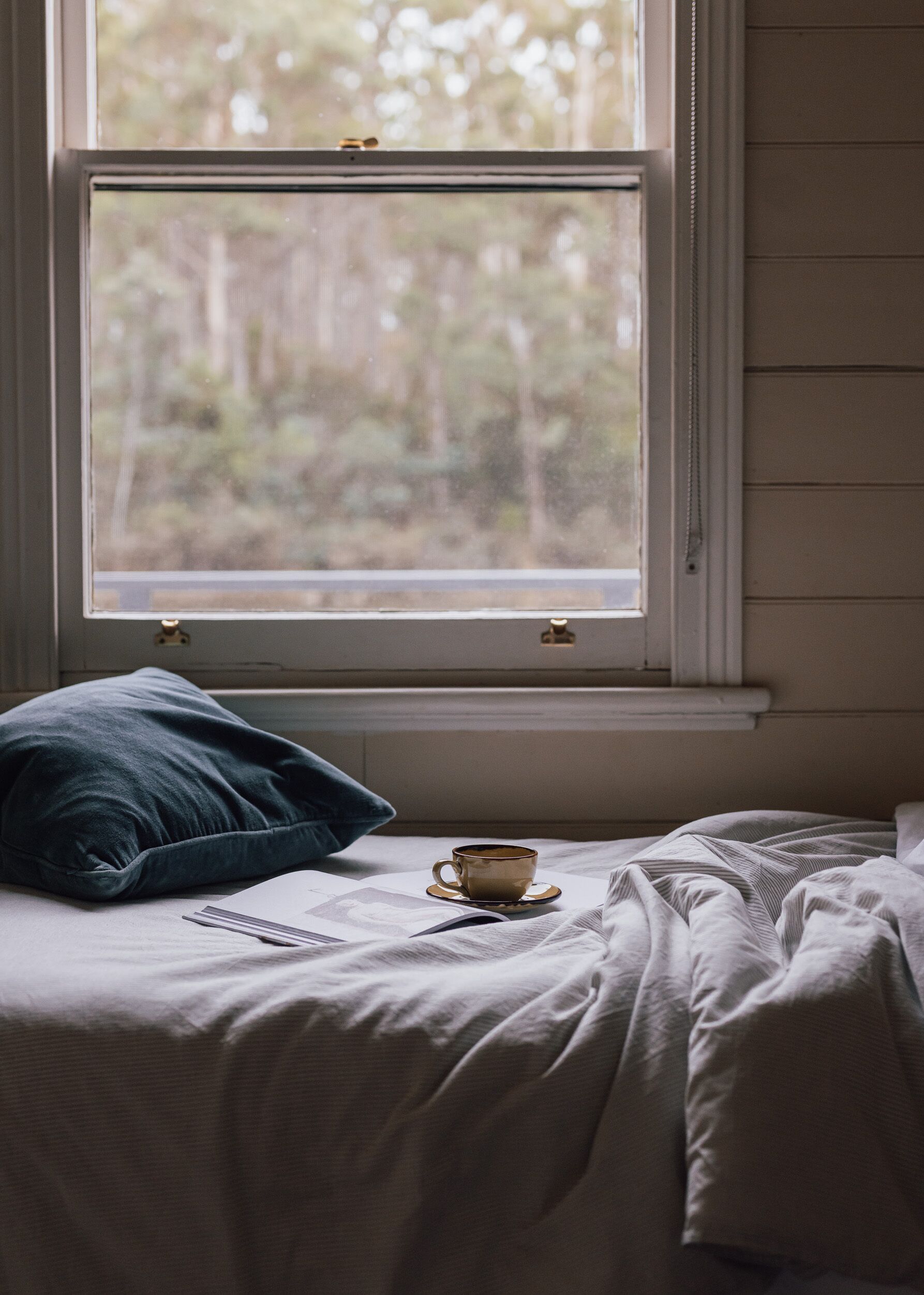 A bed with a cup of coffee, a pillow, and a window with a view of trees.