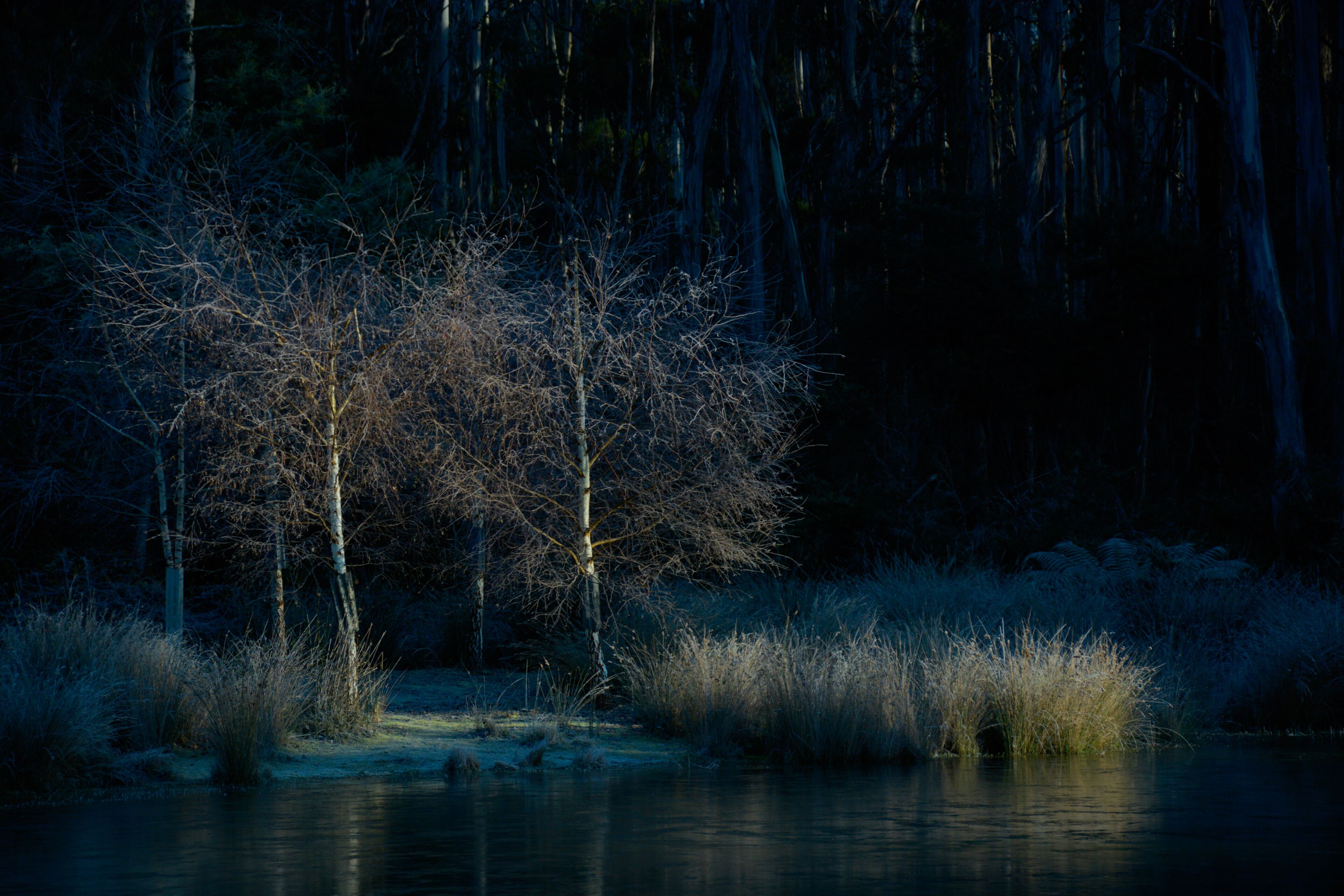 Naivasha Cottage with antique outdoor bath — image 27