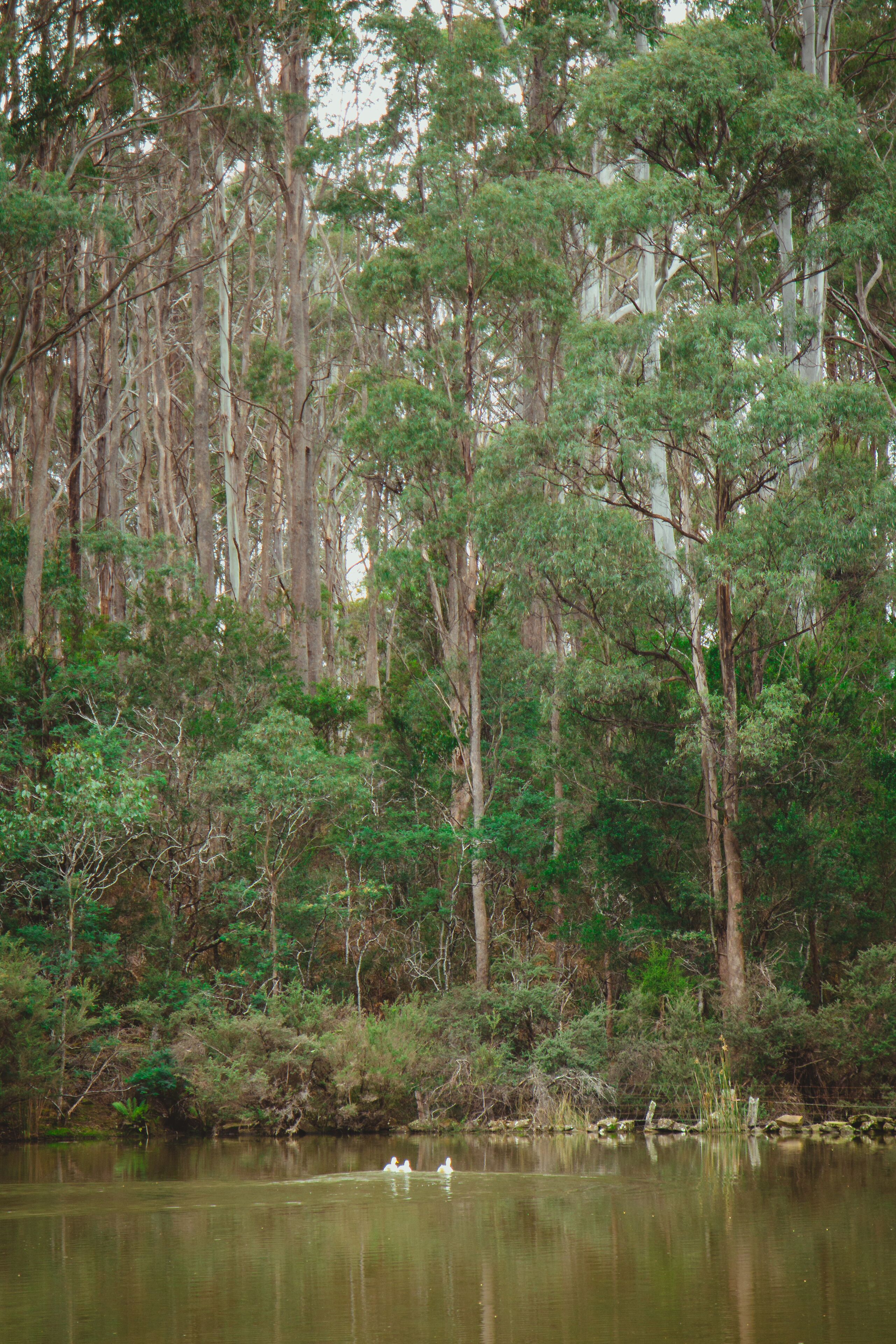 Naivasha Cottage with antique outdoor bath — image 24