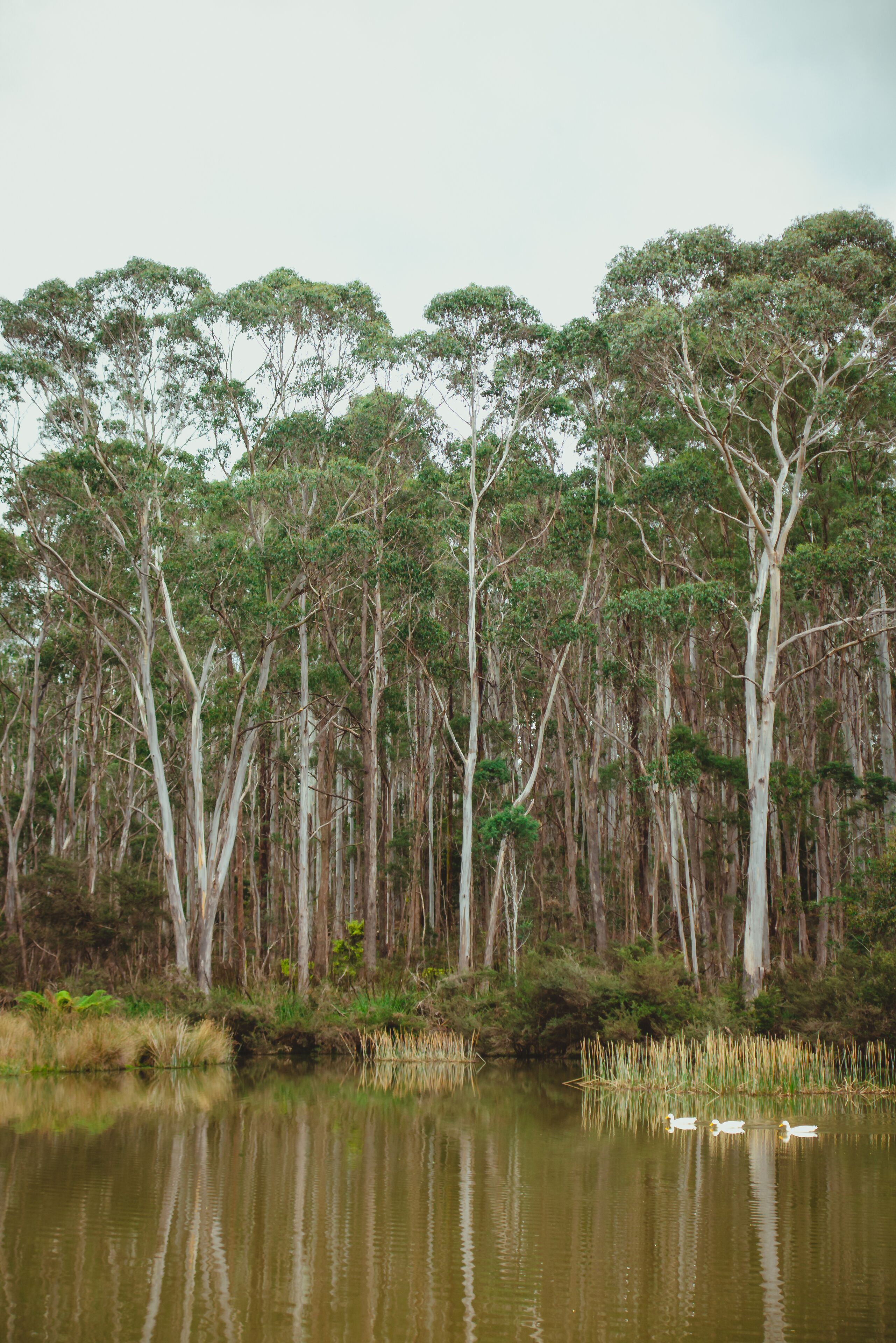 Naivasha Cottage with antique outdoor bath — image 4