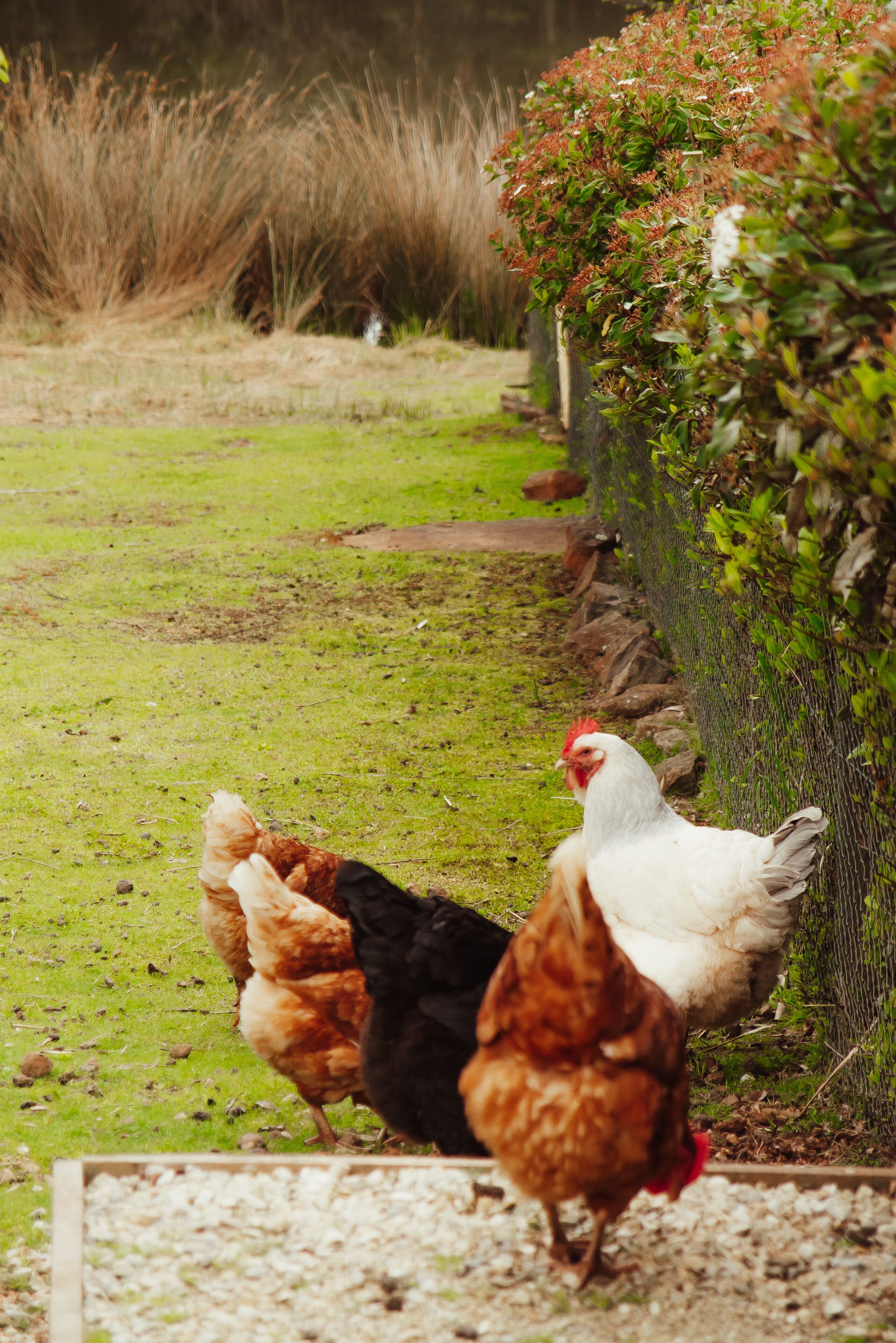 Naivasha Cottage with antique outdoor bath — image 23