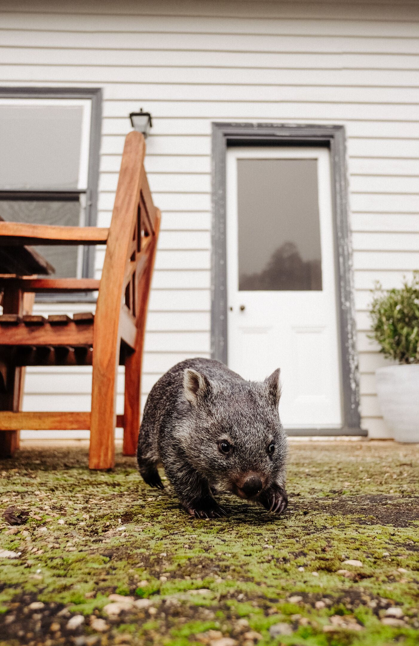 Naivasha Cottage with antique outdoor bath — image 29