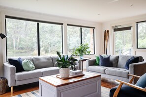 Televisor intel·ligent, llar de foc, reproductor de DVD i llibres 