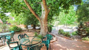 An outdoor patio with a round glass table and green plastic chairs, surrounded by trees and a brick pathway. - AMBER COTTAGE: Bright (Bright)