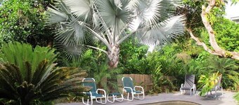 Breeya - A great tropical escape. Sleeps 9