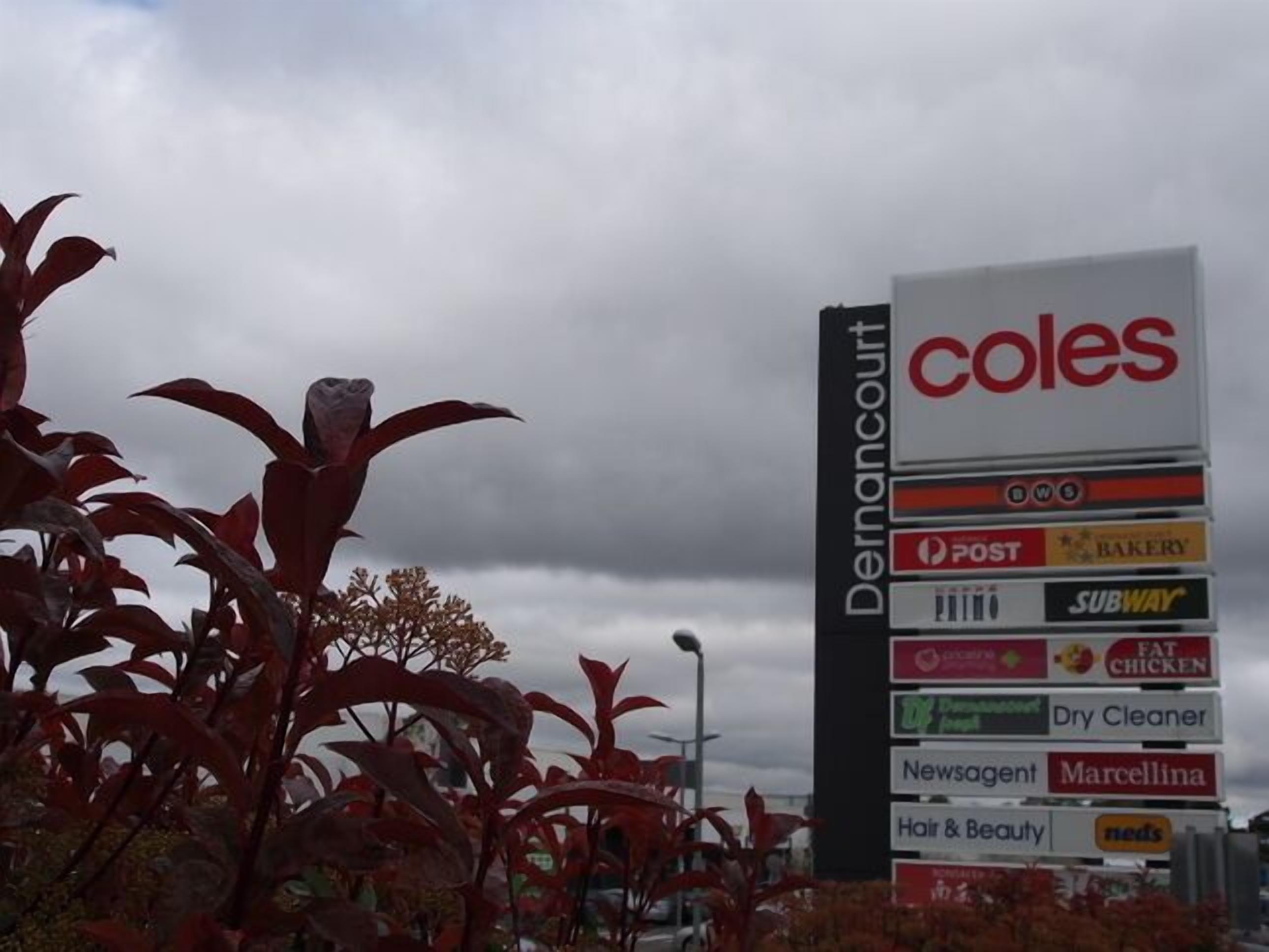 Cotton Palm Cottage - Your Home Away From Home — image 21