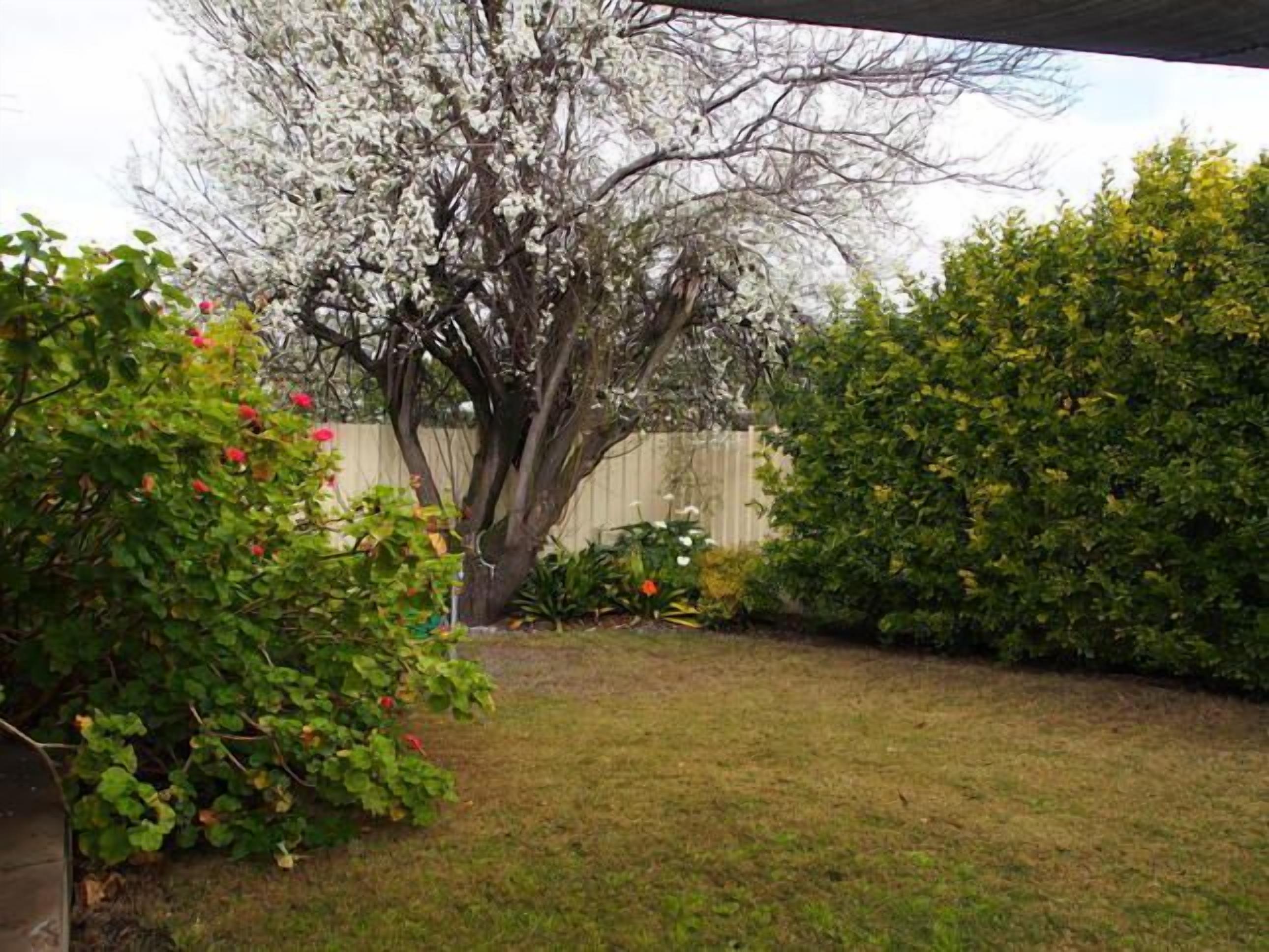 Cotton Palm Cottage - Your Home Away From Home — image 19