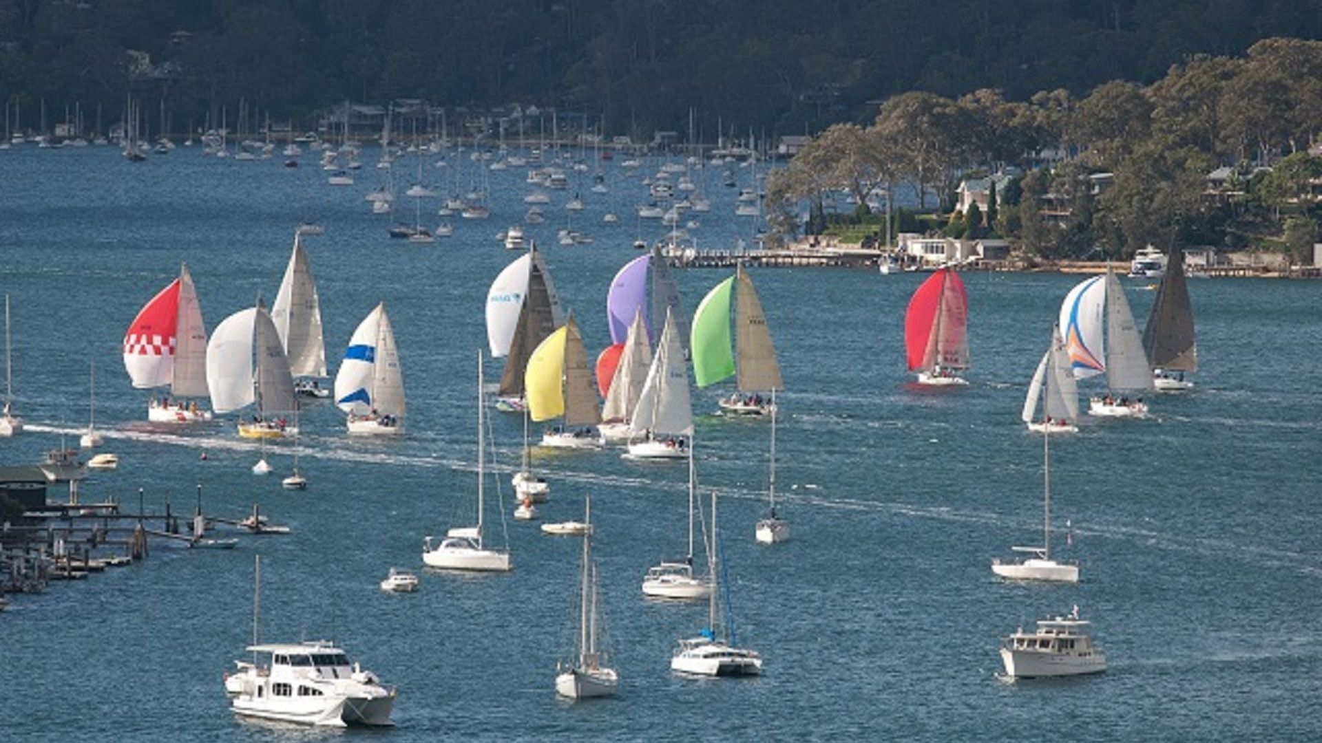 Refuge Cove on Pittwater — image 18