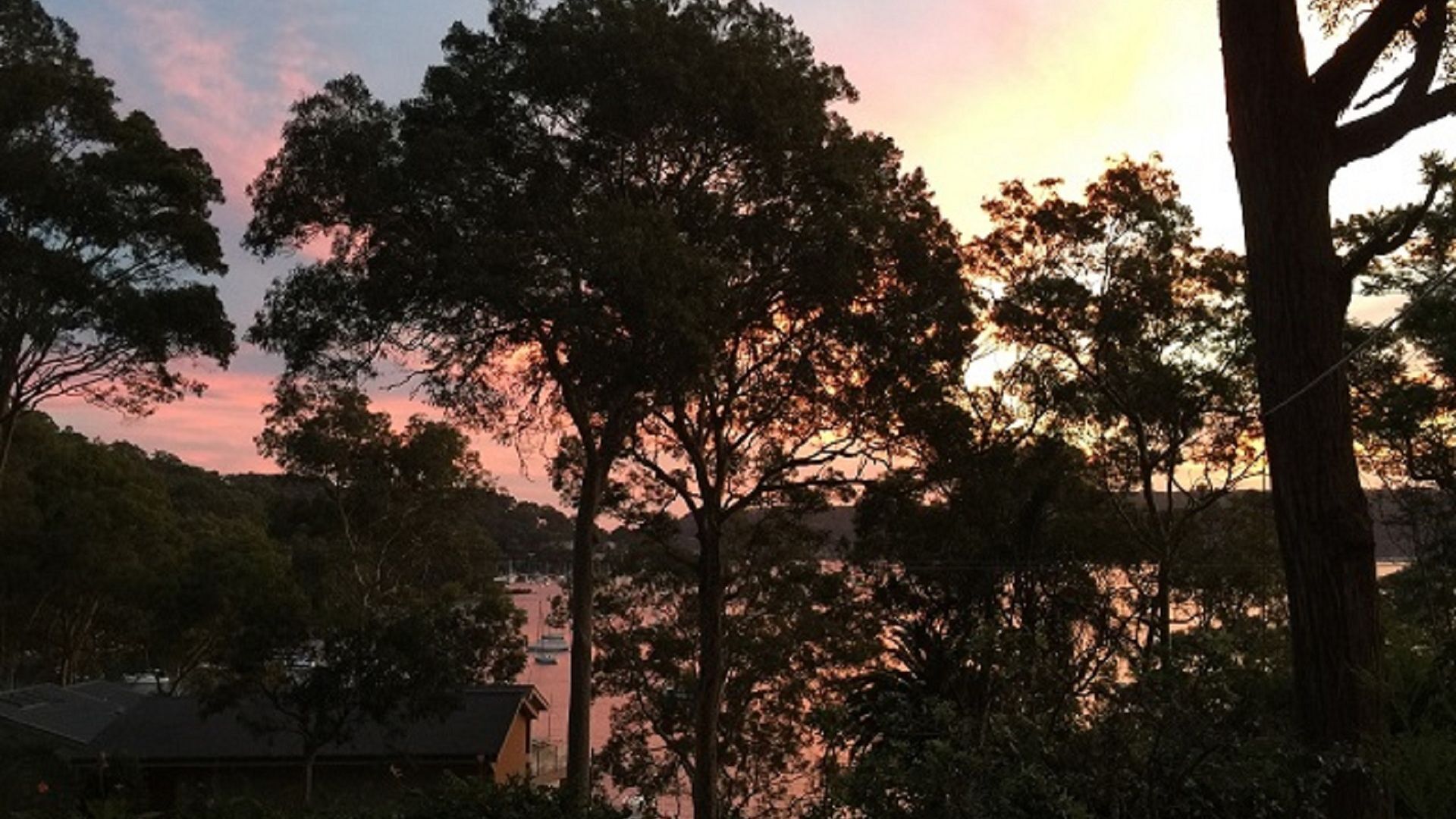 Refuge Cove on Pittwater — image 16