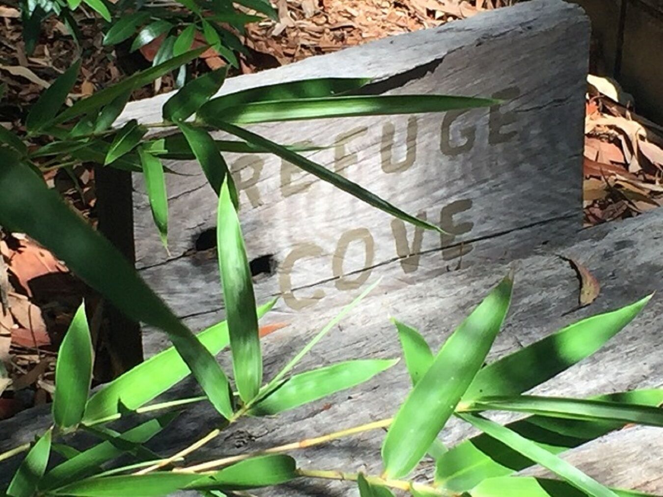 Refuge Cove on Pittwater — image 5