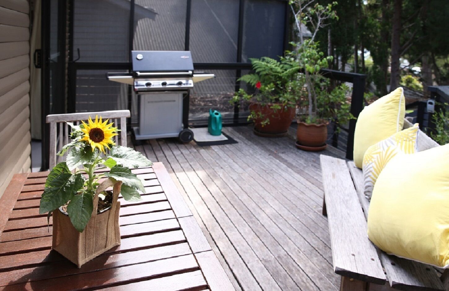 Refuge Cove on Pittwater — image 15