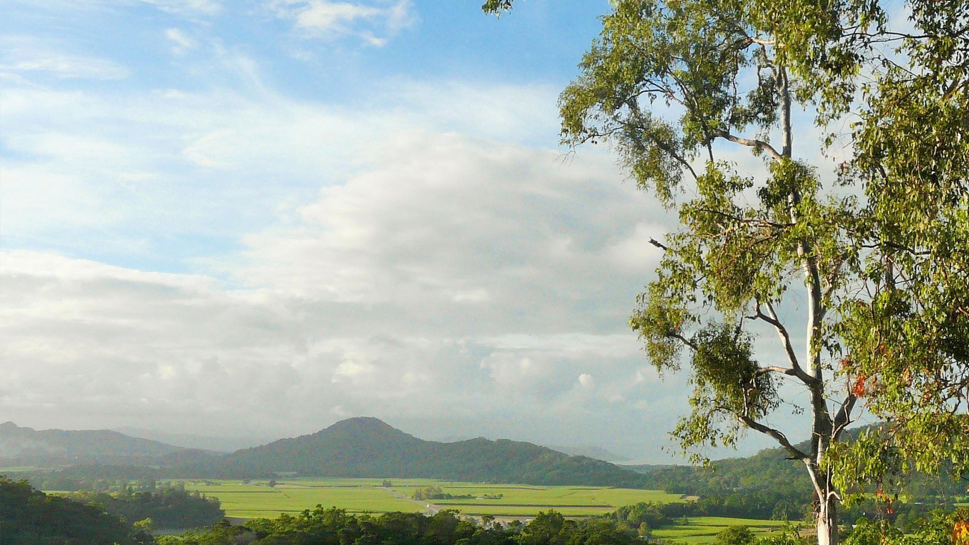 Private Tropical Rainforest setting in the Hinterlands of Port Douglas — image 15