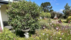 Un jardín con diversas plantas y flores, un bebedero para pájaros y una mesa de picnic.