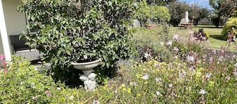 Swansea - "Cottages"  Studio Lodge Suites" in Sherbourne Lodge.