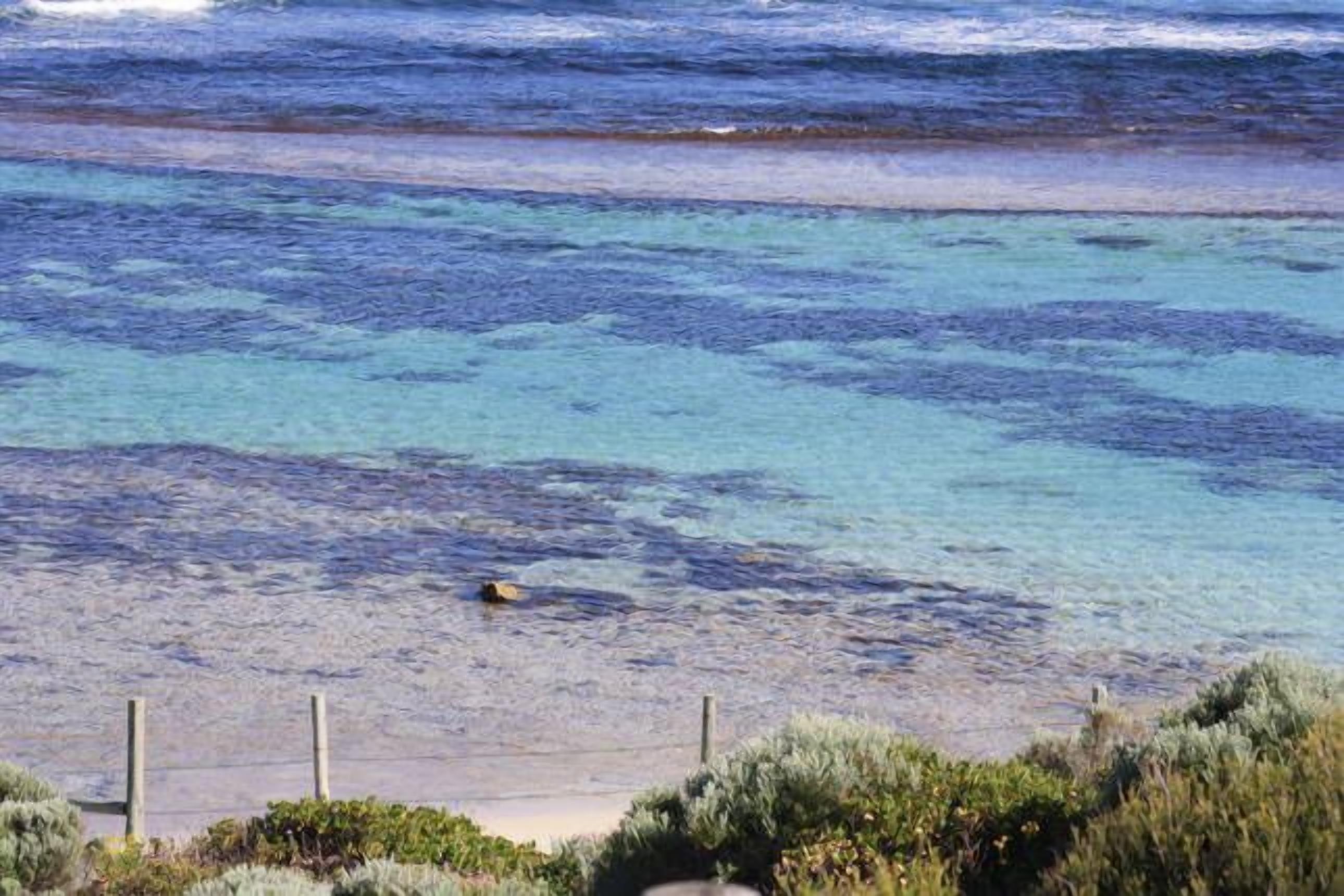 Beached As Yallingup WA — image 22