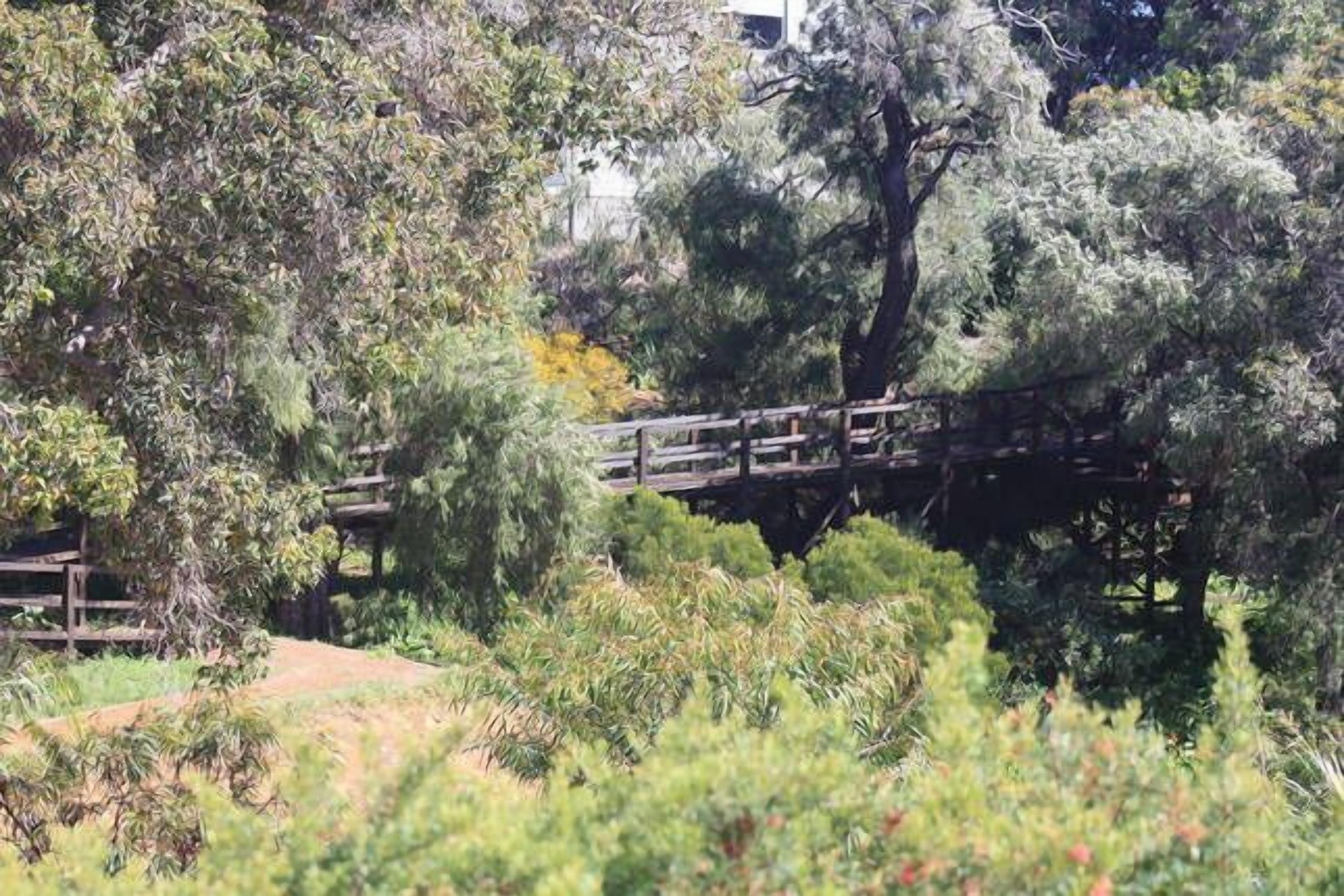 Beached As Yallingup WA — image 20