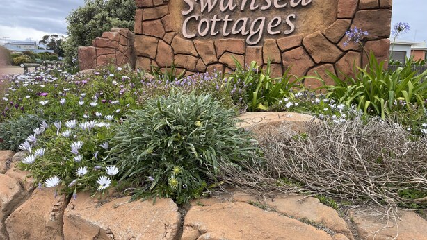 Schild für Swansea Cottages mit einer Steinmauer und einem Garten mit verschiedenen Blumen.