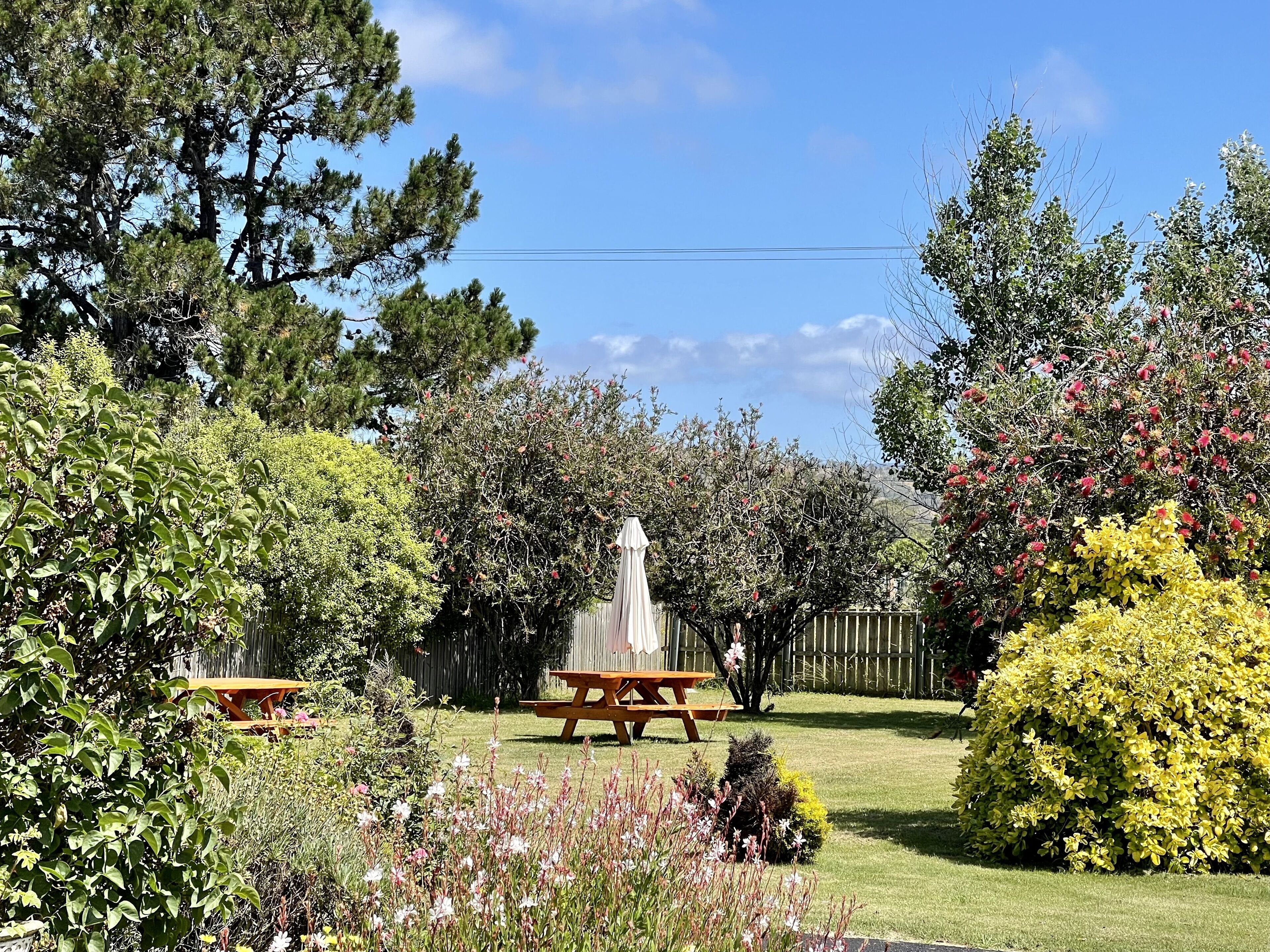 Opções para refeição ao ar livre