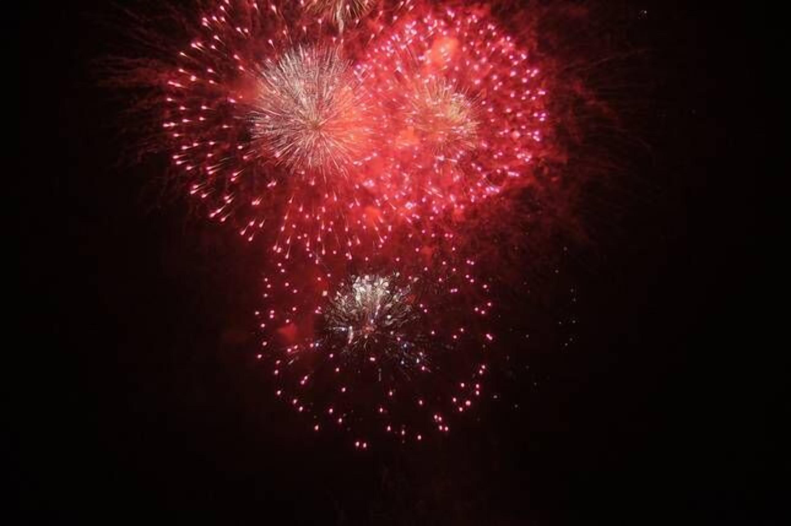 Leafy streets but so close to the Harbour — image 2