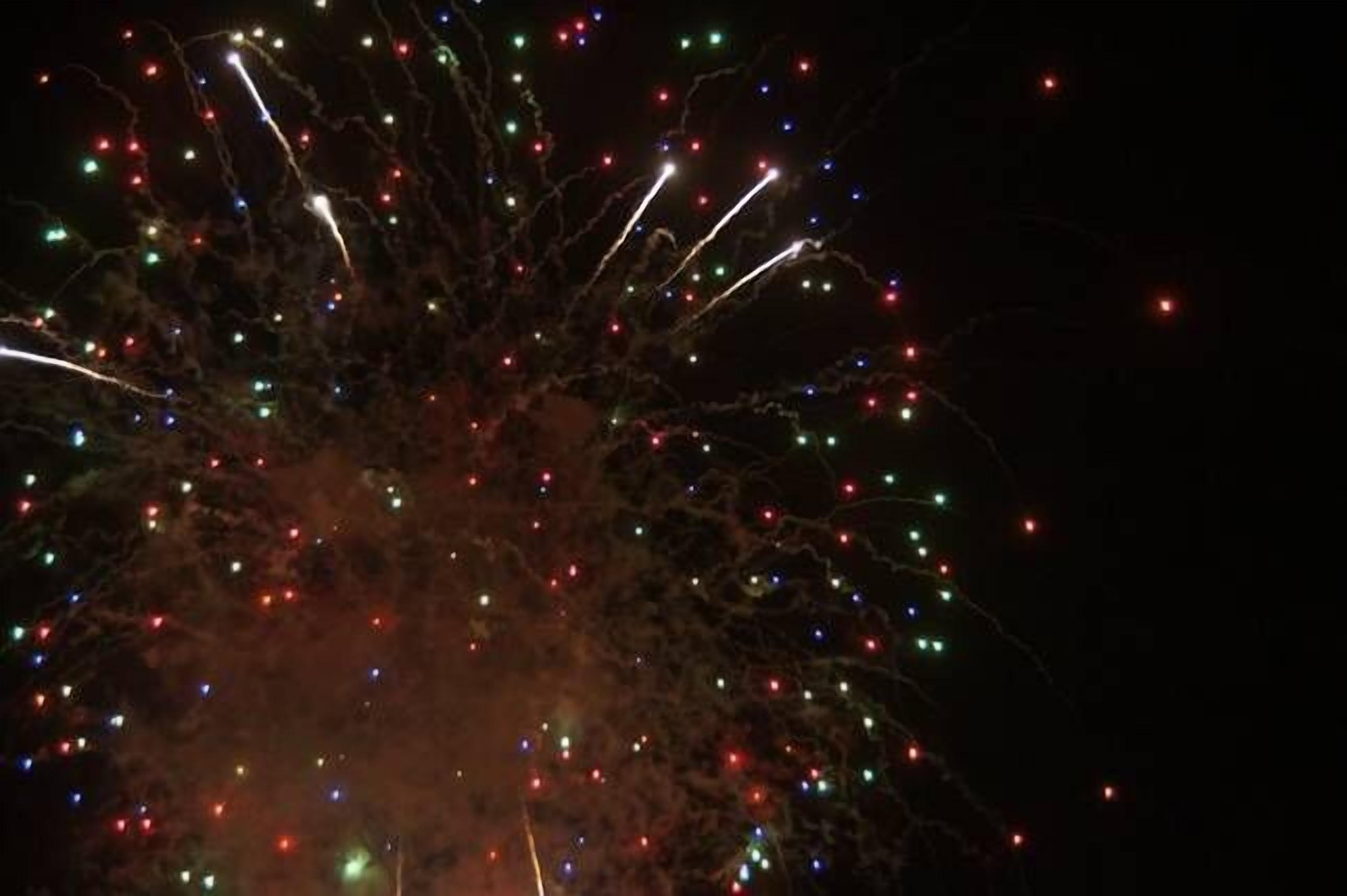 Leafy streets but so close to the Harbour — image 3